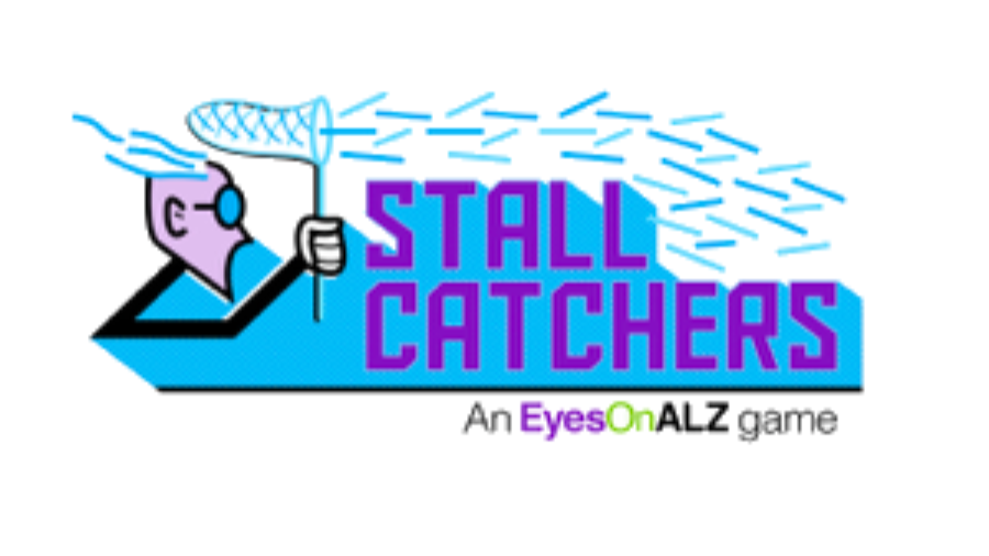 Stall Catchers on Memory Cafe Directory 300x250